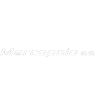 Ícone da MARCOPOLO SA