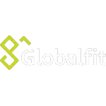 GLOBALFIT INDUSTRIA DE COMPONENTES LTDA