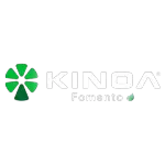 Ícone da KINOA SERVICOS FINANCEIROS LTDA