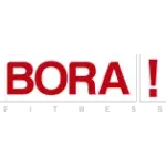 Ícone da BORAM ACADEMIA DE GINASTICA LTDA