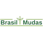 BRASIL MUDAS