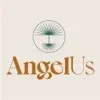 ANGELUS NETWORK CONSULTORIA LTDA