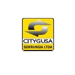 Ícone da CITYGUSA SIDERURGIA LTDA