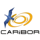 Ícone da CARIBOR TECNOLOGIA DA BORRACHA LTDA