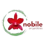 NOBILE