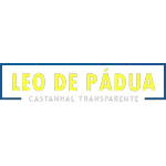 LEONARDO DE PADUA COSTA PEREIRA