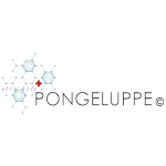 Ícone da PONGELUPPE INFORMATICA LTDA