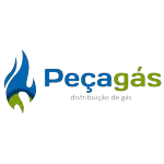 Ícone da PECAGAS COMERCIO DE GAZ E PECAS LTDA