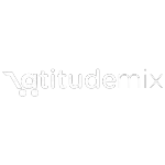 Ícone da ATITUDE MIX IMPORTACAO E DISTRIBUICAO LTDA