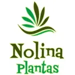 PORTAL NOLINA PLANTAS SERVICOS LTDA