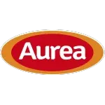 AUREA INDUSTRIA E COMERCIO LTDA