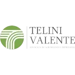 Ícone da TELINI VALENTE SOCIEDADE INDIVIDUAL DE ADVOCACIA