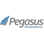 Ícone da PEGASUS TREINAMENTOS LTDA