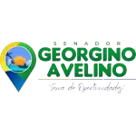 GEORGINO AVELINO INCORPORACOES IMOBILIARIAS LTDA