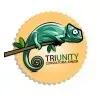 TRIUNITY CONSULTORIA JR