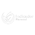 INDICADOR FLORESTAL LTDA