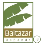 Ícone da BALTAZAR DISTRIBUIDORA DE FRUTAS LTDA