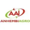 Ícone da ANHEMBI AGRO INDUSTRIAL LTDA