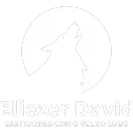 Ícone da ELIEZER DAVID DE MEDEIROS