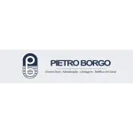 PIETRO BORGO  CIA LTDA