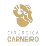 Ícone da CIRURGICA CARNEIRO LTDA