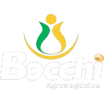 Ícone da BOCCHI  CIA LTDA