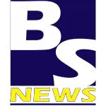 Ícone da BS NEWS INFORMATICA SCM LTDA