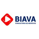 BIAVA  SERVICOS DE CONSULTORIA LTDA