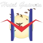 GAIVOTA TURISMO HOTEL LTDA