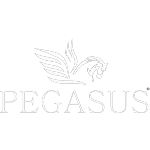 PEGASUS COMERCIO E REMANUFATURA DE CARTUCHOS LTDA