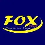 Ícone da FOX TOUR EXPRESS LOCADORA VIAGENS EDUCACAO E TURISMO LTDA