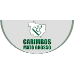 CARIMBOS MATO GROSSO LTDA