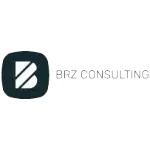 BRZ CONSULTING