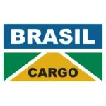 Ícone da BRASIL CARGO TRANSPORTES INTERNACIONAIS LTDA