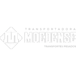 Ícone da TRANSPORTADORA MOEDENSE LTDA