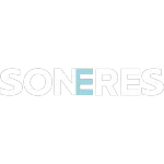 Ícone da SONERES CONSULTORIA EM GESTAO EMPRESARIAL LTDA