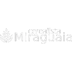 CEREALISTA MIRAGUAIA