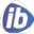 IB DIGITAL LTDA