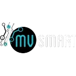 Ícone da MV SMART AUTOMACAO E SISTEMA LTDA