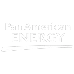Ícone da PAN AMERICAN ENERGY DO BRASIL LTDA