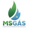 MSGAS