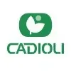 CADIOLI IMPLEMENTOS AGRICOLAS LTDA