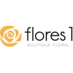 Ícone da RESIDENCIAL FLORES 1 SPE LTDA