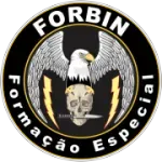 Ícone da FORBIN FORMACAO DE VIGILANTES LTDA