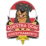 Ícone da DOM KENNEL'S  ADESTRAMENTO DE CAES LTDA