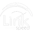 LINK SPEED