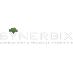 Ícone da SYNERGIX CONSULTORIA E PROJETOS AMBIENTAIS LTDA