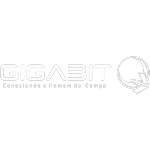 GIGABIT INTERNET