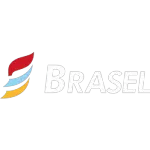 Ícone da BRASEL BRASILIA COMERCIO DE EXTINTORES E SISTEMAS CONTRA INCENDIO LTDA