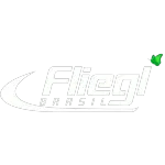 FLIEGL DO BRASIL